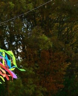 Спокойная — фото 2