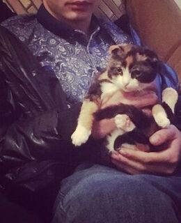 Абу Суета — фото 1